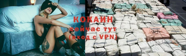 дживик Магадан