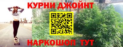 гашик Донецк