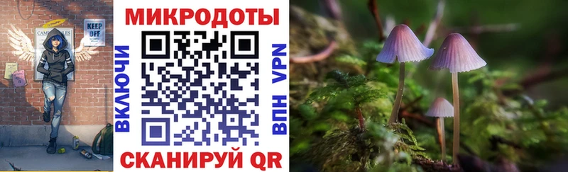 магазин продажи   Коломна  Псилоцибиновые грибы ЛСД 