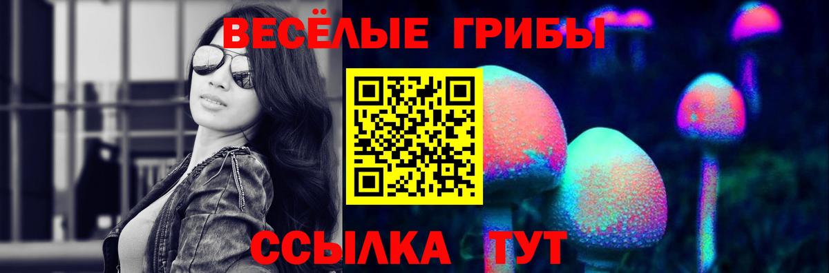 Псилоцибиновые грибы прущие грибы Коломна